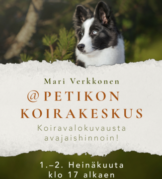 Koiravalokuvaus